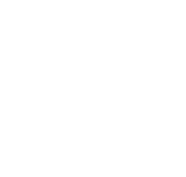 RF Over Fibre icon